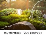 Small photo of Green forest with moss and grass with lightbulbs. Electric plug with wire plugged into ground. Sustainable and eco friendly energy sources. Earth energy concept.