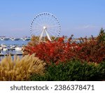 Small photo of A Ferris wheel is seen behind colorful shrubbery on a bright fall day.