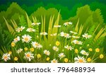illustration of dandelions and... | Shutterstock .eps vector #796488934