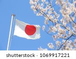 Japan flag and cherry blossoms