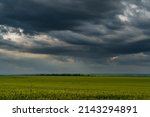Agricultural field with green...