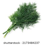 A Bunch Of Green Dill In Detail ...