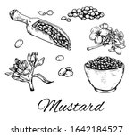 Ink Mustard Seeds Hand Drawn...