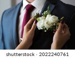 beautiful female hands adjust the boutonniere on the jacket. Bride adjusting beautiful groom's boutonniere