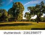 Small photo of Tranquil green field with tall cottonwood trees at sunrise, meadow landscape at Tuthill Park in Sioux Falls, South Dakota