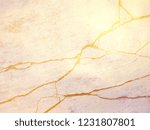 white marble or travertine with ... | Shutterstock . vector #1231807801
