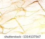 marble or travertine   abstract ... | Shutterstock . vector #1314137567