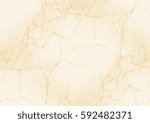 white marble texture   seamless ... | Shutterstock . vector #592482371