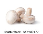 Mushrooms Isolated On White...