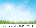 vector summer nature ... | Shutterstock .eps vector #1017167614
