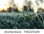 Autumn Frost On Grass In...