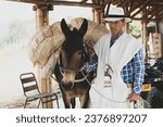 Small photo of Penol, Antioquia-Colombia. May 25, 2022. Typical Colombian peasant costume with horse