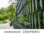 Small photo of pattern with metal fences and green needless