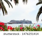 beautiful view of the cruise ship through the flowers and branches of palm trees.