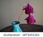 A Withered Purple Orchid In A...