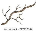Watercolor Bare Tree  Snag ...