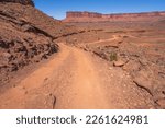 hiking the murphy trail loop in the island in the sky in canyonlands national park in the usa
