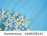 lilies of the valley on a blue... | Shutterstock . vector #1648328131