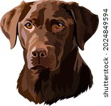 Brown Labrador Retriever Dog image - Free stock photo - Public Domain ...