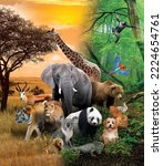 Small photo of Many African and zoo animals giraffe, lion, elephant, monkey, panda, iguana, rabbit and others. Forest and safari image in the background.