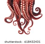 tentacles of octopus isolated... | Shutterstock . vector #618432431