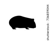 vector guinea pig silhouette... | Shutterstock .eps vector #736859044