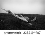Aircraft wreckage, St Kilda, Outer Hebrides, Scotland