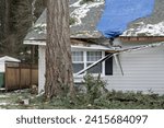 Small photo of Residential house crushed by fallen trees and tree limbs during severe winter storm with strong winds. Tarp is placed on the damaged rooftop area as a temporary measure before proper roof repairs.