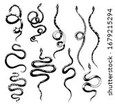 Vector Set Of Different Snakes...