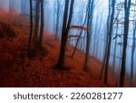 Small photo of Fog in the autumn forest. Autumn misty forest. Misty forest in autumn. Autumn fog in misty forest