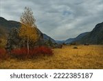 Small photo of Russia. The South of Western Siberia, the Altai Mountains. Huge rock fragments surrounded by colorful autumn trees and shrubs at the foot of inaccessible cliffs in the valley of the Chuya River.