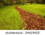 Small photo of Bark path from a grass field leading to a grove of trees. Shallow depth of field, focus at immediate foreground.