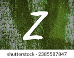 Z Letter Paint. Logo template on green metallic texture background