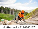 Woodcutter Lumberjack Is Man...