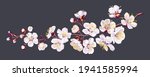 vector branch with spring... | Shutterstock .eps vector #1941585994