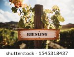 Reisling wooden sign at vineyard