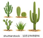 Cactus Plants Set Of Desert...