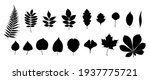 big set of leaf silhouettes.... | Shutterstock .eps vector #1937775721