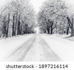 snow covered road with frost covered trees