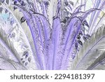 Plant cycas revoluta. Blurred lilac foreground. Beautiful strange background, inverted color. 