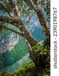 Small photo of vertical of canyon de Sumidero in chiapas mexico travel destination near tuxtla Gutierrez and chiapas dec orzo