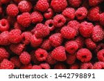 Ripe raspberries.Berries.A handful of raspberries.Scarlet.Raspberry field.Raspberry juic