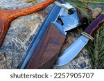 A hunting firearm and cold steel with pine branches and an elk horn. A unique image for decoration