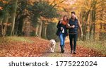Small photo of Loving Couple Walking With Pet Golden Retriever Dog Along Autumn Woodland Path Through Trees