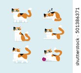 Set Of Cat Poses Vector...