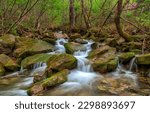 Small photo of The stream flows over the rocks in the forest. Forest waterfall stream. Forest stream on mossy rocks. Forest stream flowing