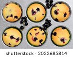 Summer baking - delicious homemade muffins with black currant in colorful paper moulds in baking tray, fresh currant around