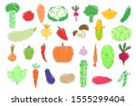 tasty colorful set of vegetable ... | Shutterstock .eps vector #1555299404