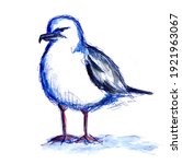 Watercolor Sketch Of Bird...