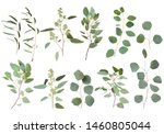 Small photo of Eucalyptus silver dollar greenery, gum tree foliage natural leaves & branches designer art tropical elements set bundle photo